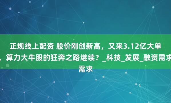 正规线上配资 股价刚创新高，又来3.12亿大单，算力大牛股的狂奔之路继续？_科技_发展_融资需求