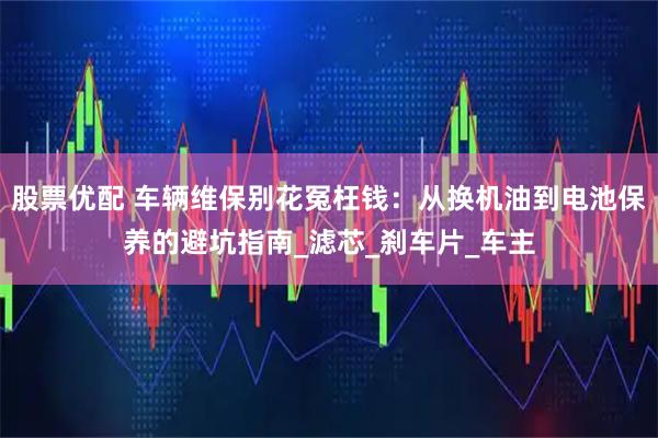 股票优配 车辆维保别花冤枉钱：从换机油到电池保养的避坑指南_滤芯_刹车片_车主
